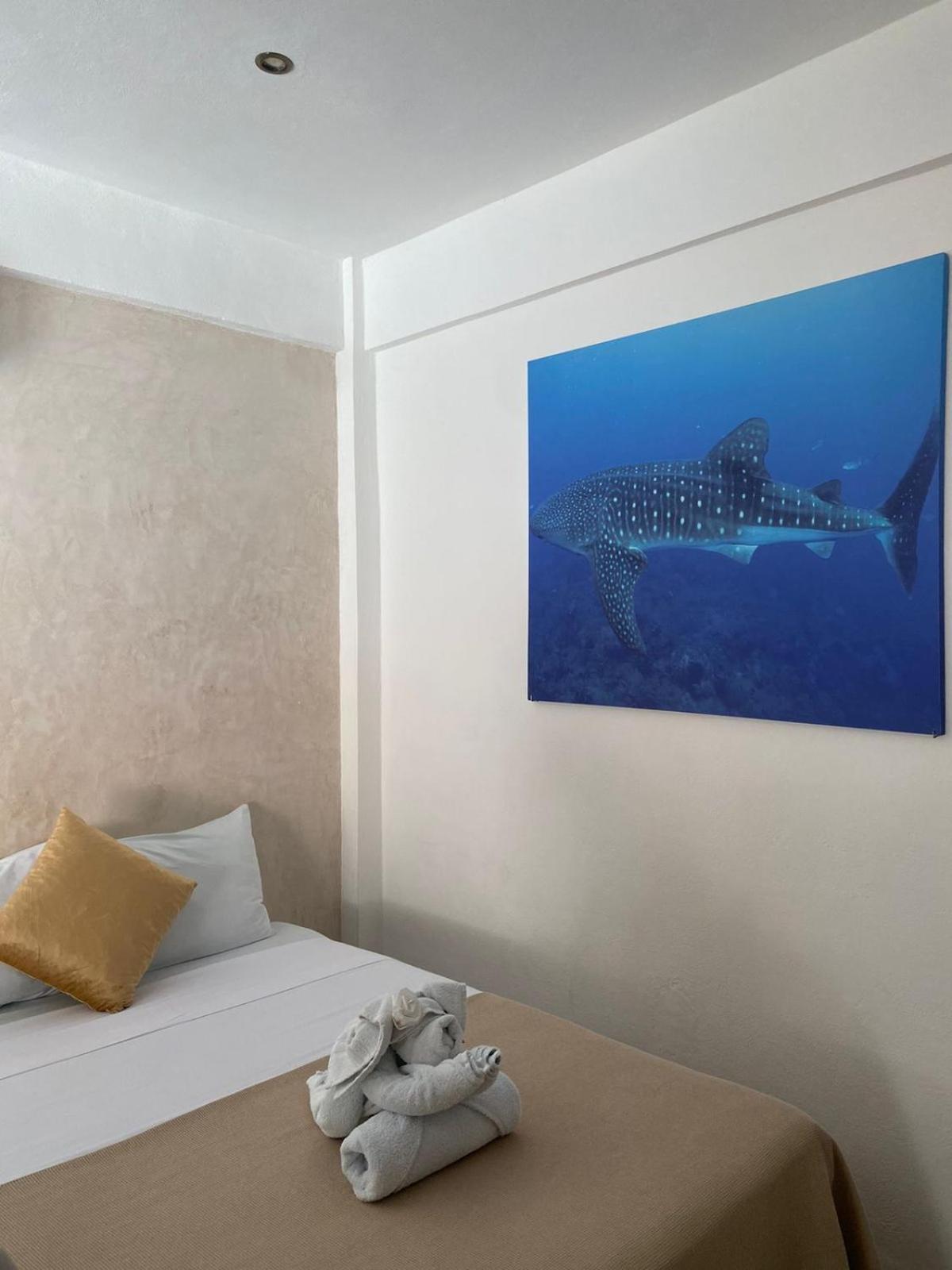 Hotel Pelecanus Suites Holbox 외부 사진