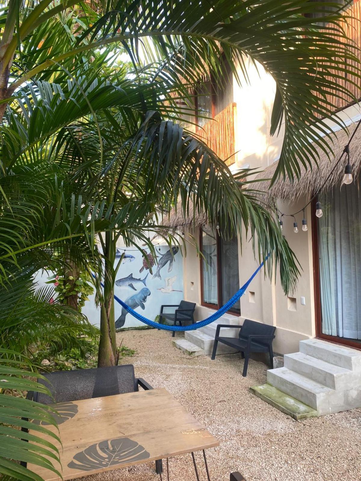 Hotel Pelecanus Suites Holbox 외부 사진