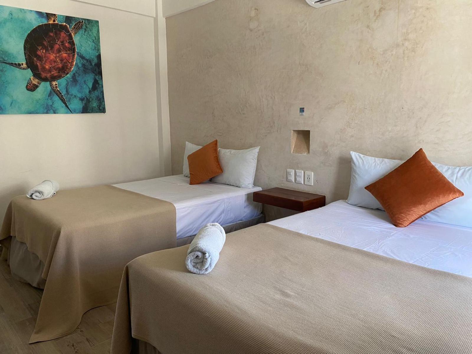 Hotel Pelecanus Suites Holbox 외부 사진